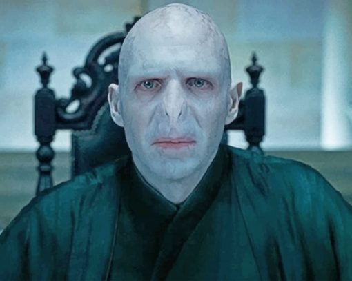 Harry Potter Lord Voldemort Paint By Numbers