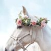 Horse Wearing Flowers Crown paint By Numbers