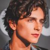 Hottie Chalamet Timothée Paint By Numbers