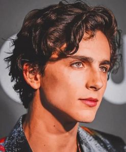 Hottie Chalamet Timothée Paint By Numbers