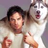 Ian Somerhalder With His Pet Paint By numbers