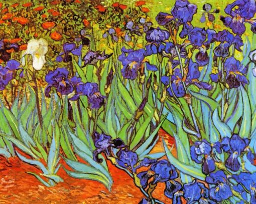 Irises Vincent Van Gogh Paint By Numbers