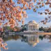 Jefferson Memorial Washington paint by number