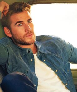 Liam Hemsworth Paint By Numbers