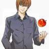 light yagami Death note serie adult paint by numbers