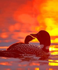 Loons Sunset paint by number