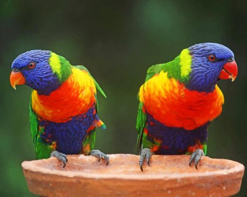 Lovely Colorful Parrots paint by number