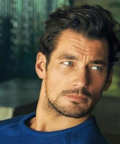 Male Model David Gandy Paint by Numbers