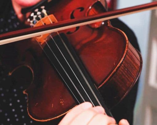 Man Playing Brown Violin paint by number