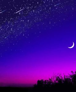 Moon Purple Sky paint by number