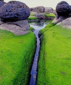 Mossy Inlet Iceland paint by numbers