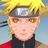 Naruto Mode Sennin Drawing apint by numbers