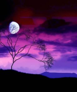 Nature Purple Sky paint by number