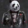 Panda Rock Star Paint By Numbers