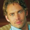 Paul Walker American Actor Paint By Numbers