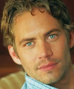 Paul Walker American Actor Paint By Numbers