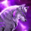 Purple Wolf paint By numbers