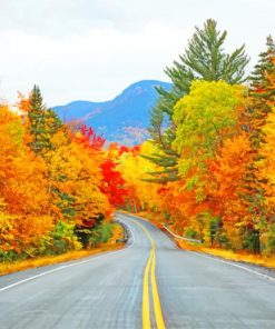 Road Autumn Trees paint by number