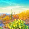 Saguaro National Park paint by number