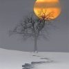 Snow Moon paint by numbers