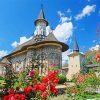 Sucevita Monastery Church paint by number