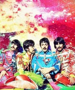 the colorful beatles adult paint by numbers