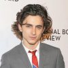 The Handsome Timothee Chalamet with Classy Suit paint by numbers