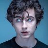 The young Actor Timothée Chalamet Paint By Numbers