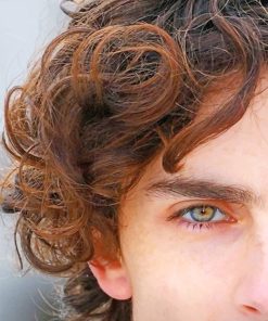 Timothee Chalamet Eye paint by number