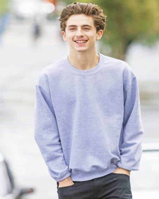 Timothée Chalamet wearing Grey paint By Numbers