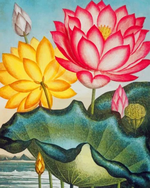 Water Lily Vintage Art paint by number