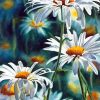 White Beautiful Flowers paint By Numbers