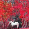 White Horse Red Nature paint by number