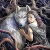 Woman And Wolf Paint By Numbers