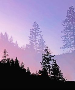 Yosemite Valley Trees Silhouette paint by number