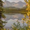 Alaska's Nature paint by numbers