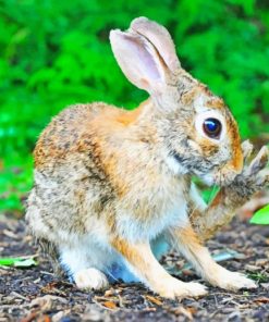 Brown Rabbit Near Green Leafed paint by numbers