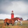 Bovbjerg Lighthouse paint by numbers