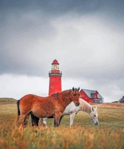 Bovbjerg Lighthouse paint by numbers