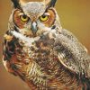 Great Horned Owl paint by numbers