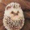 Cute Little Hedgehog paint by numbers