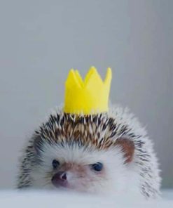 King Hedgehog paint by numbers