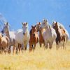 Herd Of Mustang paint by numbers