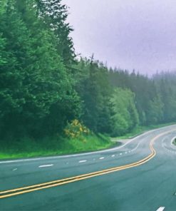 Highway Through Forest paint by numbers