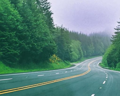 Highway Through Forest paint by numbers