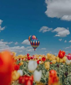 Hot Air Balloon In The Nature paint by numbers