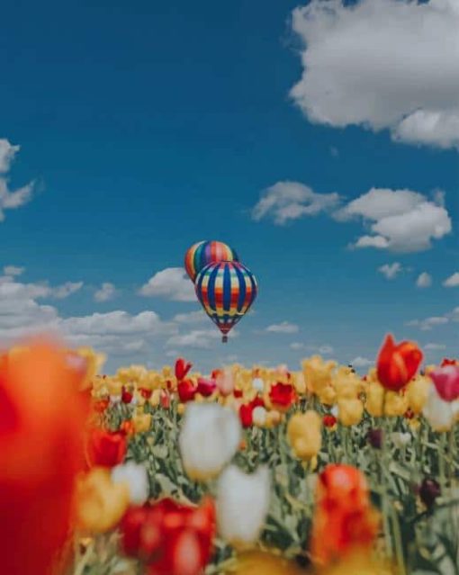 Hot Air Balloon In The Nature paint by numbers