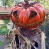 Jack-o'-lantern Pumpkin paint by numbers