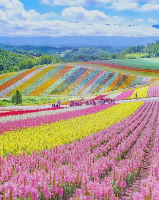 Hokkaido Japan paint by numbers