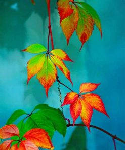 Colorful Leaves paint by numbers